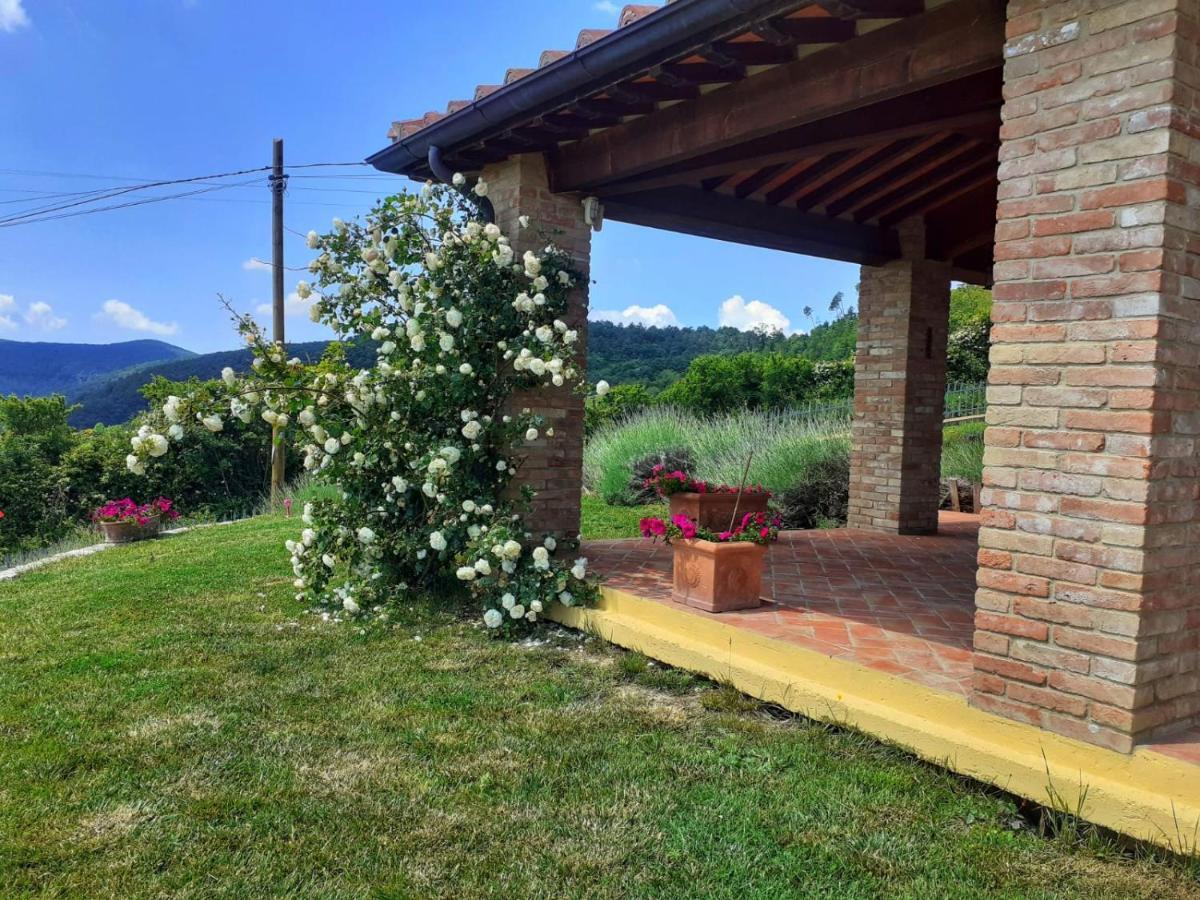 Dimora Degli Angeli Chianni Exterior foto